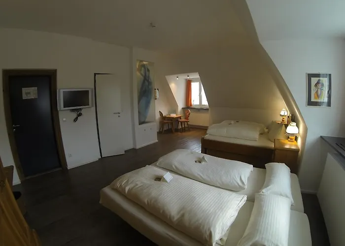 Hotel Landgasthof Koechlin 3*